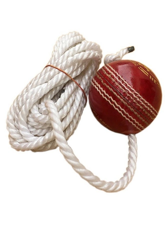 TIMA Leather Cricket Shot Practice Hanging Ball, String Cricket Ball and Knocking Cricket Ball with Rope (Multi-Color) (Pack of 1) - Image 2