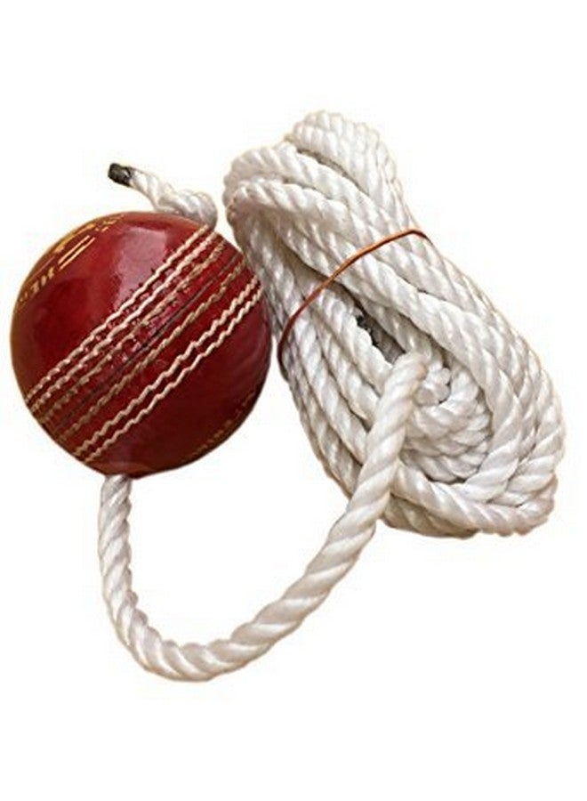 TIMA Leather Cricket Shot Practice Hanging Ball, String Cricket Ball and Knocking Cricket Ball with Rope (Multi-Color) (Pack of 1) - Image 1