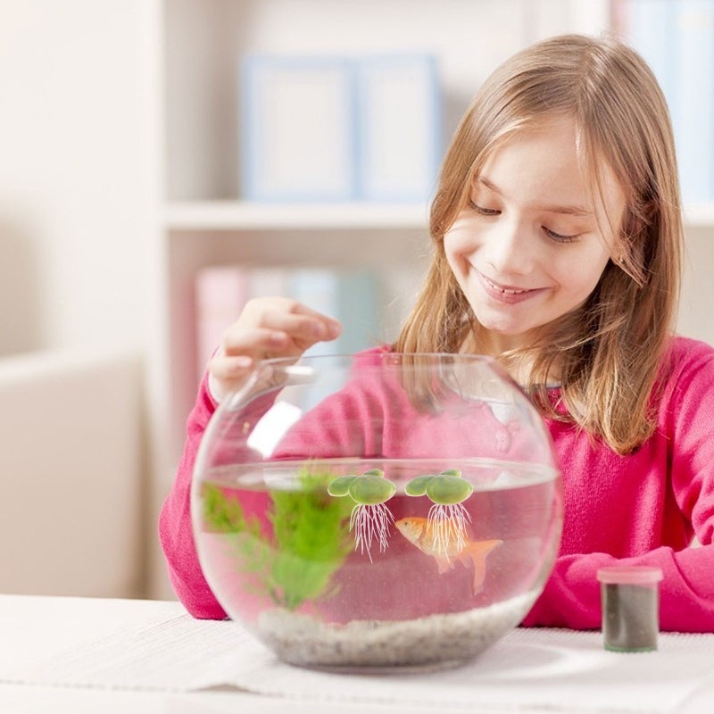 🐾 نباتات صناعية عائمة ومقاومة للاستخدام في حوض السمك - Image 2