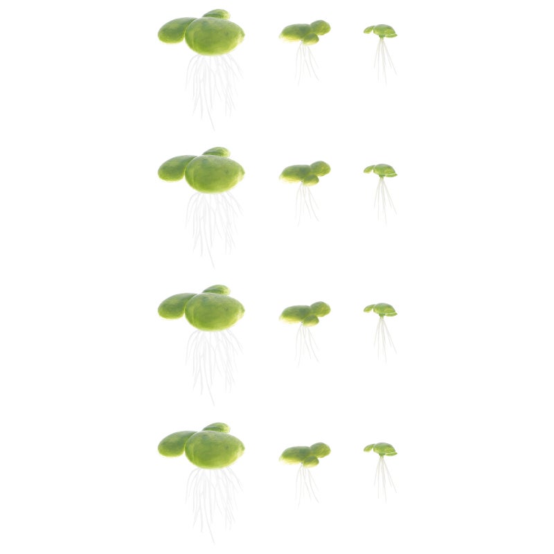 🐾 نباتات صناعية عائمة ومقاومة للاستخدام في حوض السمك - Image 1