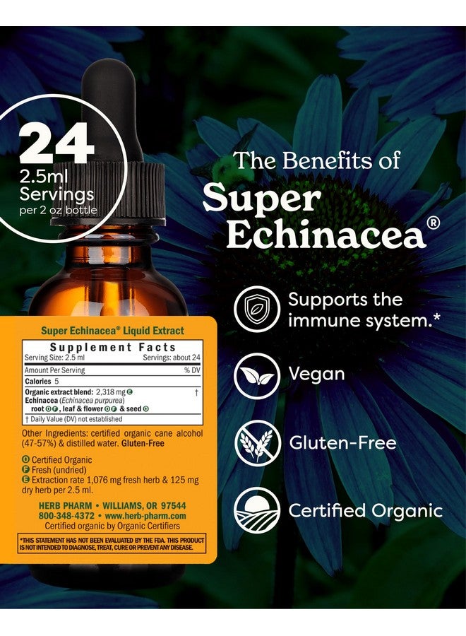 Herb Pharm Certified Organic Super Echinacea Liquid Extract Drops for Active Immune System Support, 2 Oz - Image 2
