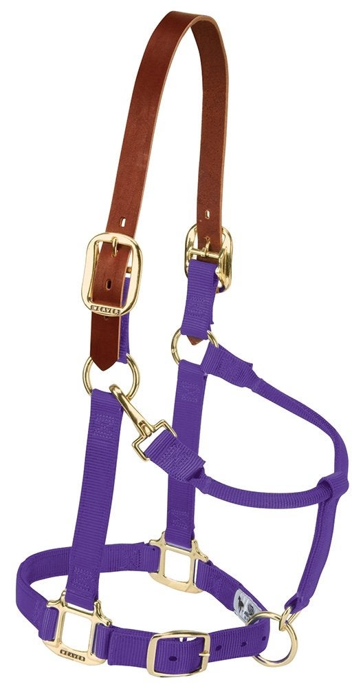 Weaver Equine Nylon Horse Halter, Supple Leather Crown, Adjustable Brass Throat Snap Halters for Horses, Equine Tack,Average Size, Purple - Image 5