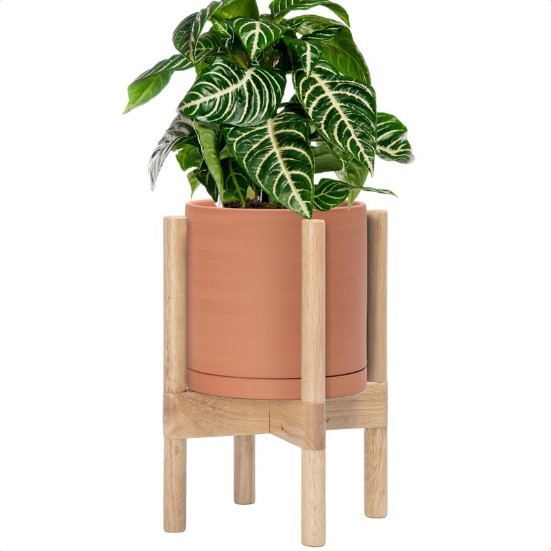 D'vine Dev Terracotta Planter with Natural Stand - 8 Inch Modern Round Flower Pot with Wood Planter Holder, Terracotta, 55-B-N-5 - Image 1