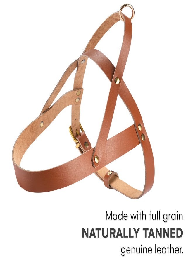 بلاك رينو سرج كلاب متين من جلد وحيد القرن الأسود - سترة كلاب الخدمة - سرج تكتيكي مبطن للجراء - سرج صدر للكلاب مانع للشد، مثالي لجميع أنواع سلالات الجراء - Image 2