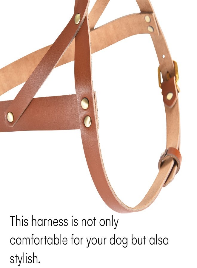 بلاك رينو سرج كلاب متين من جلد وحيد القرن الأسود - سترة كلاب الخدمة - سرج تكتيكي مبطن للجراء - سرج صدر للكلاب مانع للشد، مثالي لجميع أنواع سلالات الجراء - Image 4