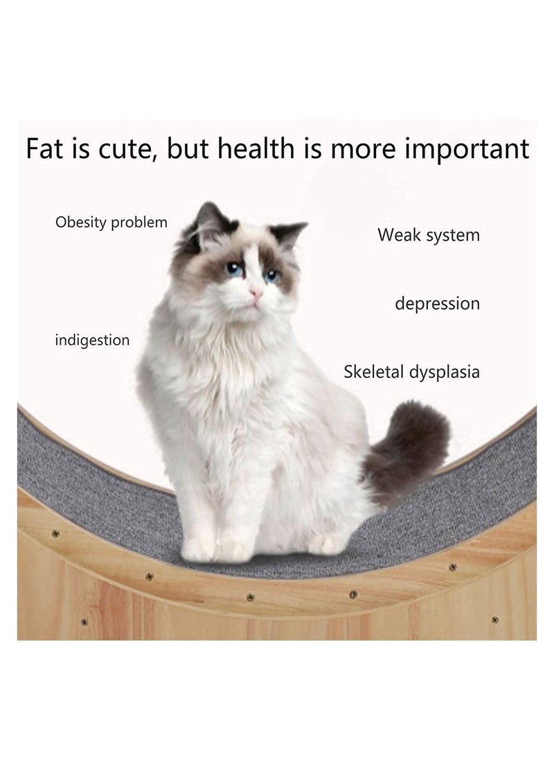 null - Cat Treadmill Pet Exercise Running Wheel Cat Climbing Frame - Image 1