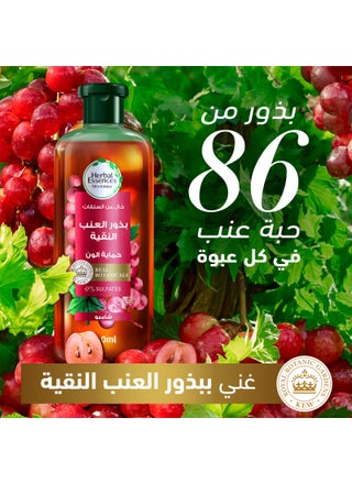بلسم هربل إيسنسز الخالي من السلفات لحماية اللون، ببذور العنب النقية - view 3