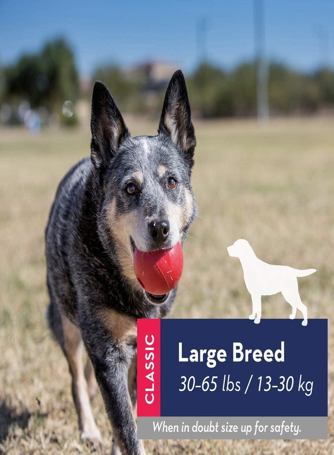 كونج كونغ، كرة حمراء، متوسطة/كبيرة - Image 4