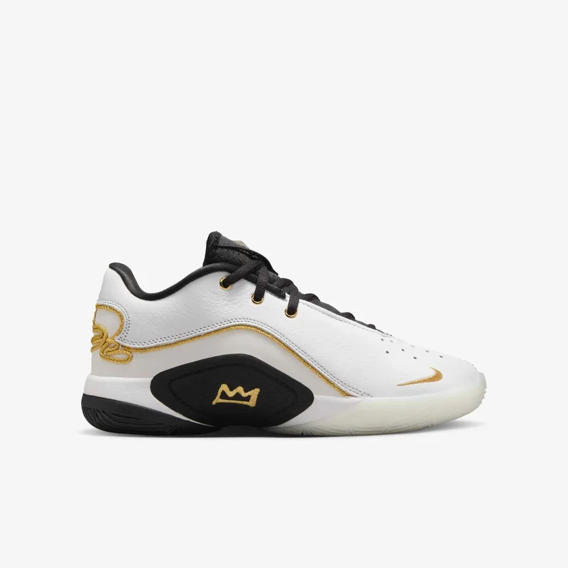 Nike LeBron XXII Split