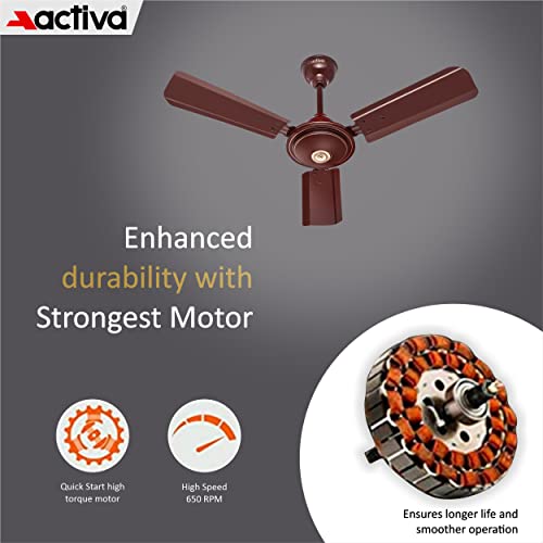 ACTIVA Apsra 900mm Ceiling Fan Brown | 650 RPM High Speed | Anti-Dust Coating | Energy Efficient Motor | 36 Inch Sweep | Powerful Air Delivery | Pack of 1 | 2 Year Warranty - Image 3