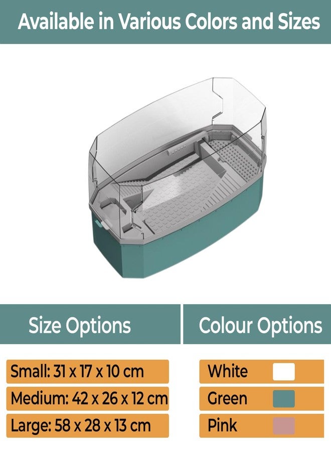 Rizopets Acrylic Turtle Aquarium with Filter, Turtle Reptile Habitat Tank with Basking, Swimming, Breeding, Hibernation & Feeding Platform (Medium, Green) - Image 2