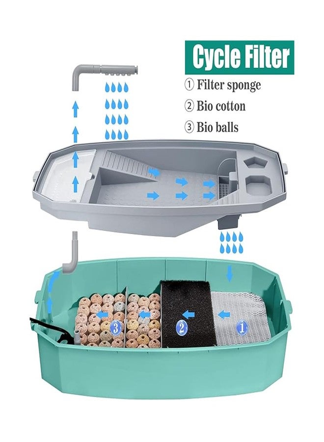 Rizopets Acrylic Turtle Aquarium with Filter, Turtle Reptile Habitat Tank with Basking, Swimming, Breeding, Hibernation & Feeding Platform (Medium, Green) - Image 4