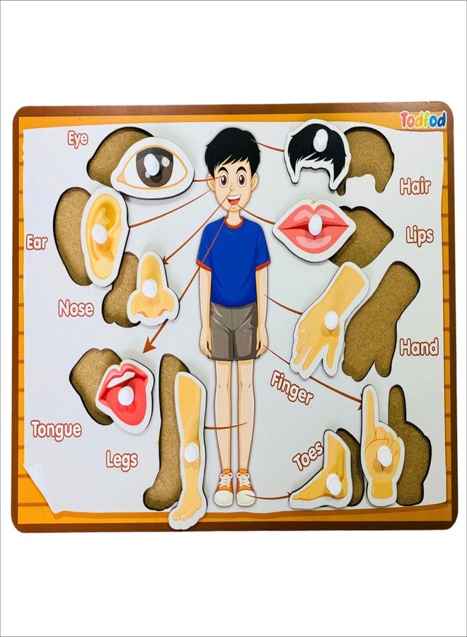 TodFod Wooden Gujarati Shabd rachna with Mix Puzzle Toy for Kids & Children, Gujarati Consonants with Knob, Multicolor Pictures, Educational and Learning Boards (Gujarati kakko & Body Parts) - Image 4