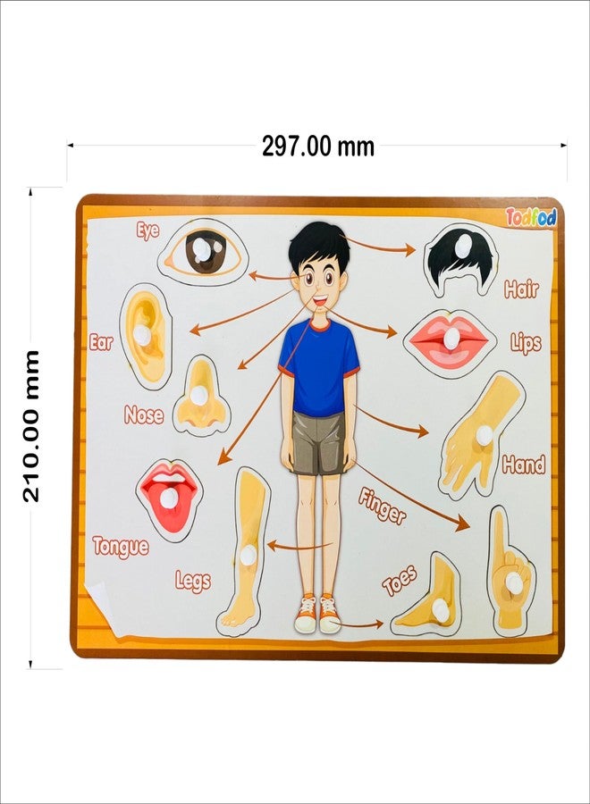 TodFod Wooden Gujarati Shabd rachna with Mix Puzzle Toy for Kids & Children, Gujarati Consonants with Knob, Multicolor Pictures, Educational and Learning Boards (Gujarati kakko & Body Parts) - Image 2