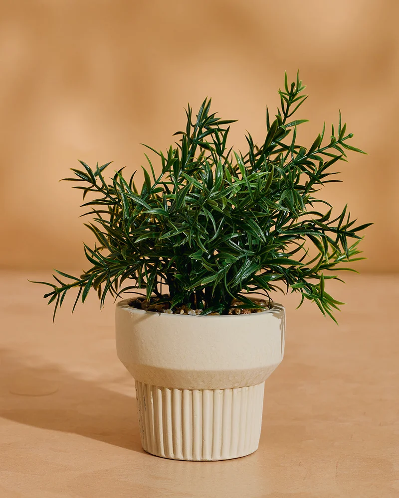 REDTAG Green Artificial Rosemary with Planter