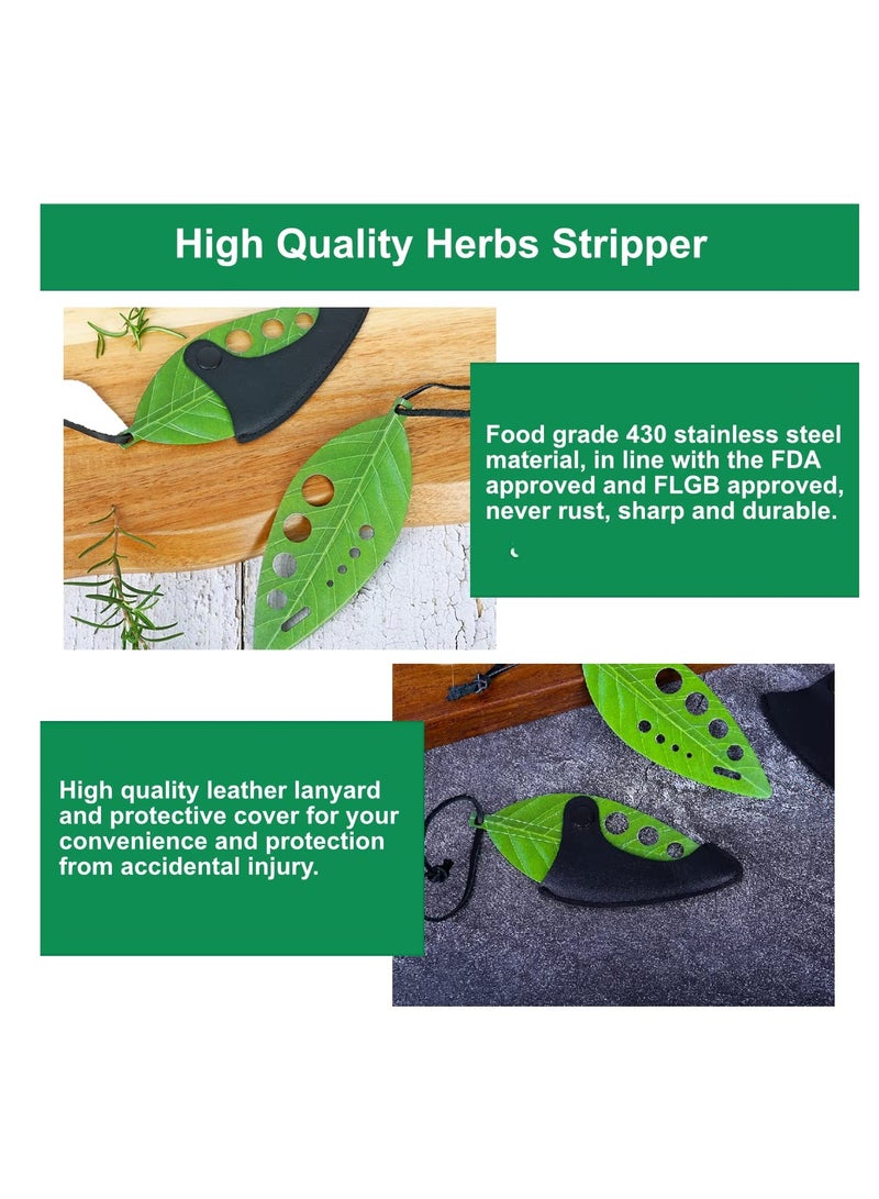 إكسفور الفانيليا متجرد 9 حفرة ، الفولاذ المقاوم للصدأ المطبخ كايل الفانيليا متجرد أداة ، كوليرد غرينز ، باسل ، تيم ، تشاد ، روزماري ، 2 حزمة - Image 2