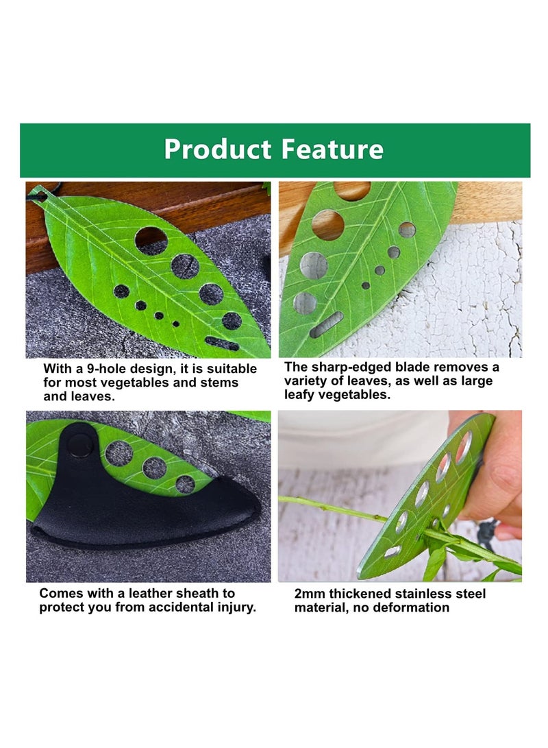 إكسفور الفانيليا متجرد 9 حفرة ، الفولاذ المقاوم للصدأ المطبخ كايل الفانيليا متجرد أداة ، كوليرد غرينز ، باسل ، تيم ، تشاد ، روزماري ، 2 حزمة - Image 4