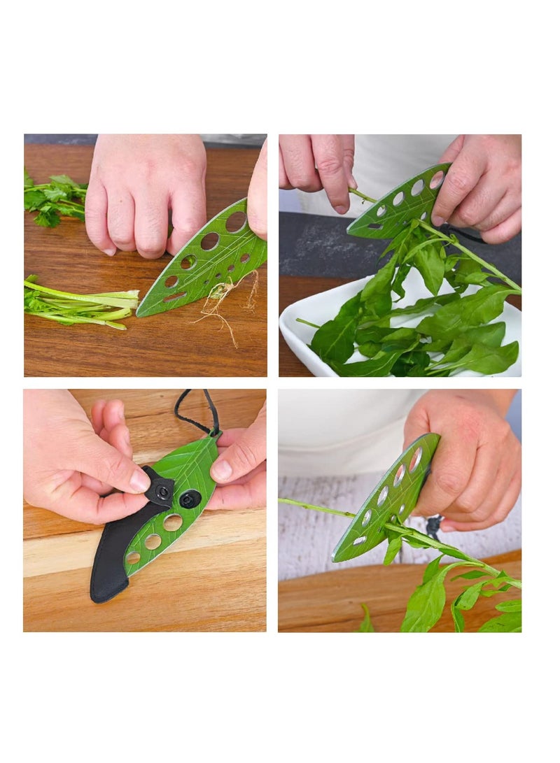 إكسفور الفانيليا متجرد 9 حفرة ، الفولاذ المقاوم للصدأ المطبخ كايل الفانيليا متجرد أداة ، كوليرد غرينز ، باسل ، تيم ، تشاد ، روزماري ، 2 حزمة - Image 5