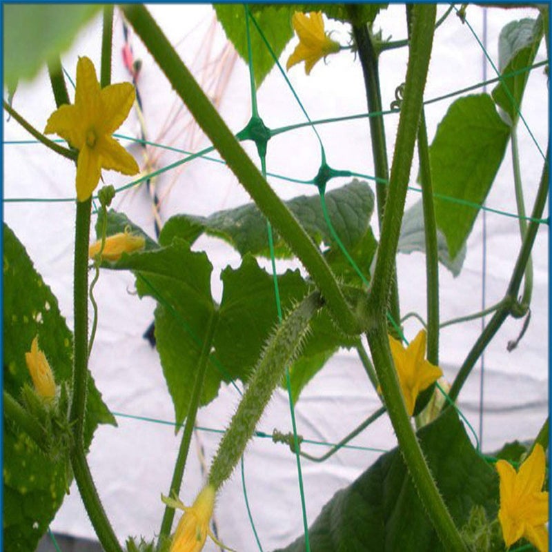 HHTHH Green Trellis Netting 4x100 ft Heavy Duty Garden Netting Polypropylene Plant Support Net for Climbing Vegetables Fruits Flowers - Image 4