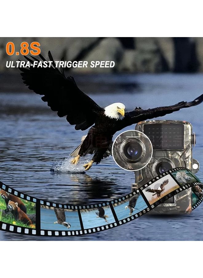 Outdoor Hunting Camera 32G Card Night Vision Motion Detection Wildlife Photography - Image 4