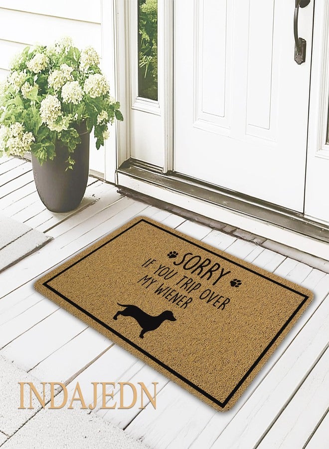 INDAJEDN Funny Dachshund Door Mat, Sorry If You Trip Over My Wiener Funny Weiner Dog Welcome Mats Doormat for Front Door Porch Outside Inside Outdoor Indoor Entrance, 18x30 Inch - Image 2