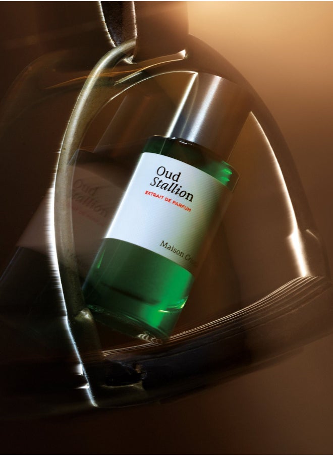 Maison Crivelli - Oud Stallion EDP 50ml - Image 1