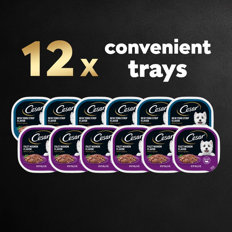 Cesar Filets in Gravy Adult Wet Dog Food, Filet Mignon and New York Strip Flavors Variety Pack, 3.5 oz. (12 Count, Pack of 1) - Image 2