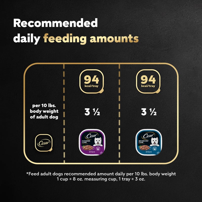 Cesar Filets in Gravy Adult Wet Dog Food, Filet Mignon and New York Strip Flavors Variety Pack, 3.5 oz. (12 Count, Pack of 1) - Image 5