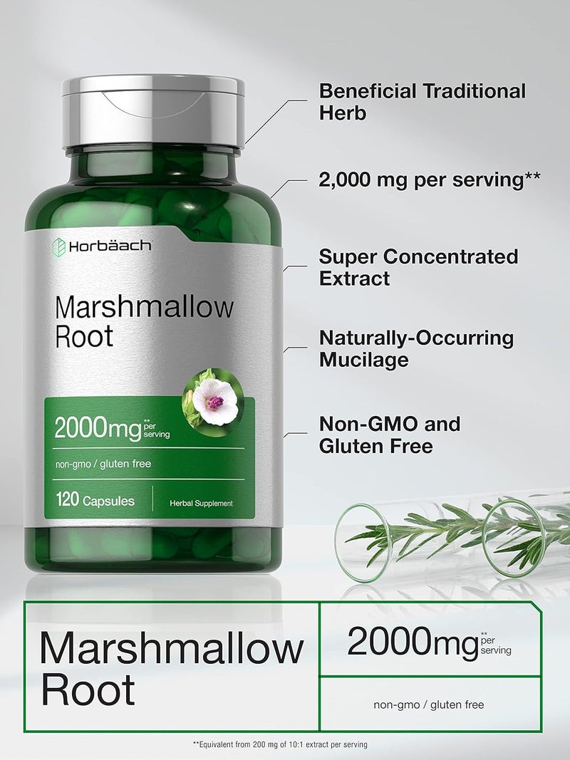 Horbach Marshmallow Root Capsules | 2000mg | 120 Count | Non-GMO & Gluten Free | Traditional Herb Extract - Image 3