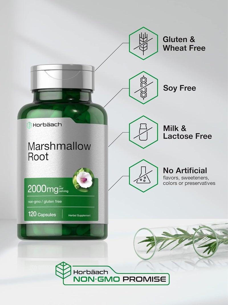Horbach Marshmallow Root Capsules | 2000mg | 120 Count | Non-GMO & Gluten Free | Traditional Herb Extract - Image 4