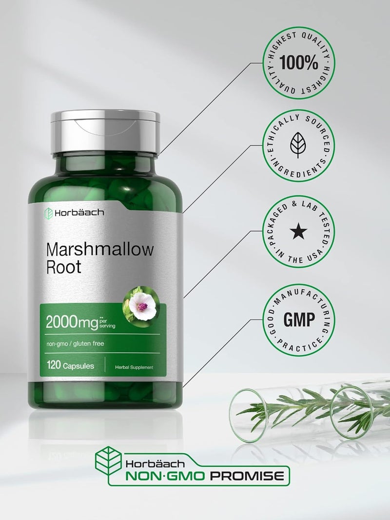 Horbach Marshmallow Root Capsules | 2000mg | 120 Count | Non-GMO & Gluten Free | Traditional Herb Extract - Image 5