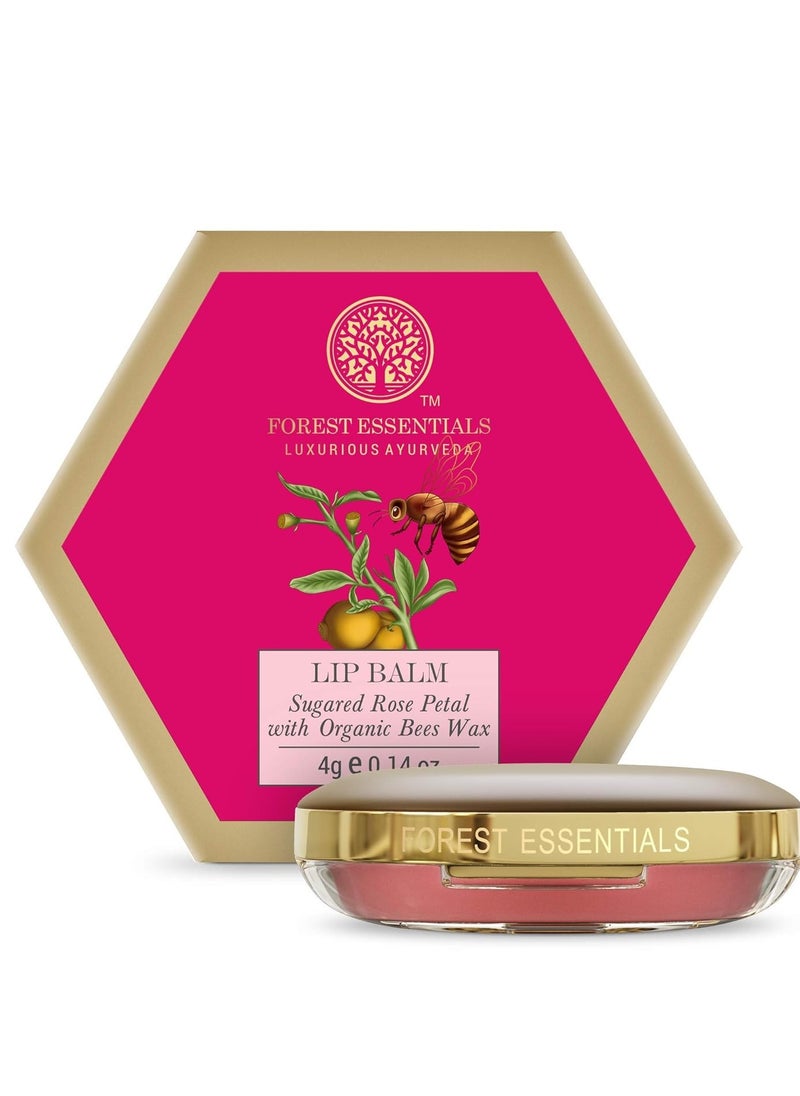 Forest Essentials - Forest Essentials Lip Balm 4g - Image 1