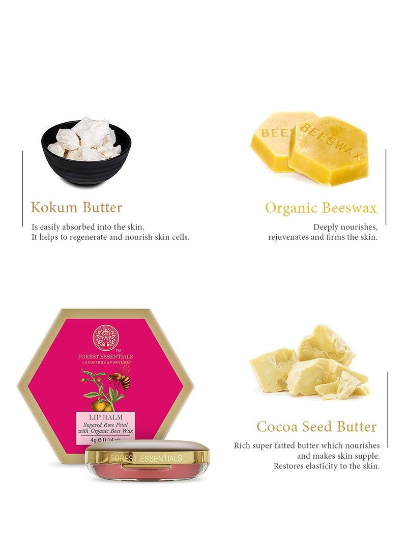Forest Essentials - Forest Essentials Lip Balm 4g - Image 1