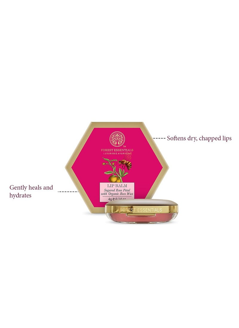 Forest Essentials - Forest Essentials Lip Balm 4g - Image 1