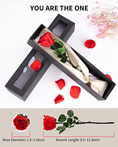 SofLiv Flowers for Delivery Prime, Preserved Roses Flower Gifts for Women, Real Roses Single Rose Gifts for Her, Mom Birthday Gifts from Daughter, Valentines Flowers Red Roses - Image 2