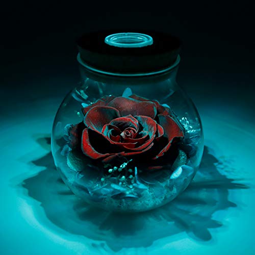 roliys Preserved Real Roses with Colorful Mood Light Wishing Bottle,Eternal Rose，Never Withered Flowers,for Bedroom Party Table Decor, Anniversary,Valentine's,Mother's Day,a Gifts for Women (Burgundy) - Image 5