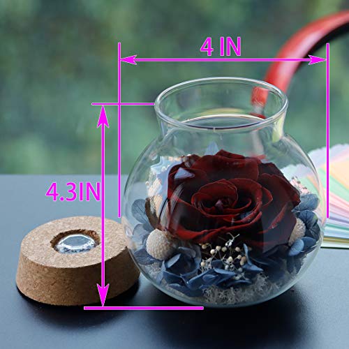 roliys Preserved Real Roses with Colorful Mood Light Wishing Bottle,Eternal Rose，Never Withered Flowers,for Bedroom Party Table Decor, Anniversary,Valentine's,Mother's Day,a Gifts for Women (Burgundy) - Image 2