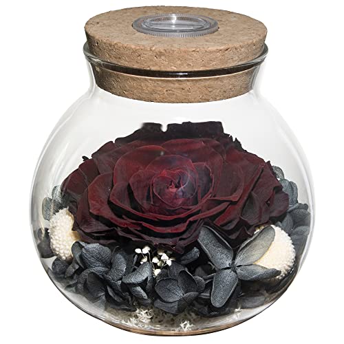 roliys Preserved Real Roses with Colorful Mood Light Wishing Bottle,Eternal Rose，Never Withered Flowers,for Bedroom Party Table Decor, Anniversary,Valentine's,Mother's Day,a Gifts for Women (Burgundy) - Image 1