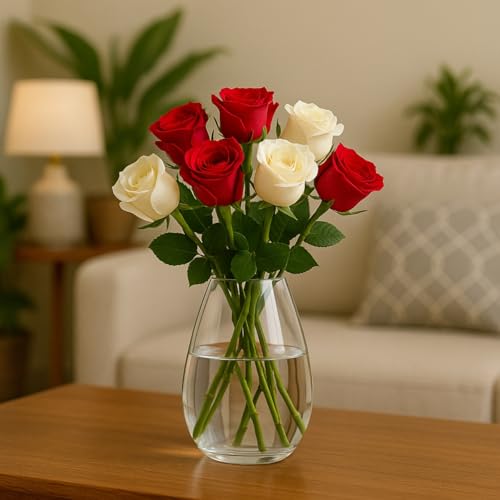 ecofynd Glass Vase for Flowers Plants, Modern Decorative Vase for Home Decor Center Table, Bedroom, Living Room, Office Decoration, Wedding or Gifts (GVASE006) - Image 1