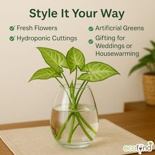 ecofynd Glass Vase for Flowers Plants, Modern Decorative Vase for Home Decor Center Table, Bedroom, Living Room, Office Decoration, Wedding or Gifts (GVASE006) - Image 3