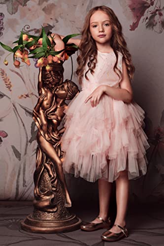 TUTULAND Tutu Dress for Girls - Sleeveless Toddler Tulle Dresses Tiered Layered Flower Girl Dress for Wedding Birthday Party - Image 2