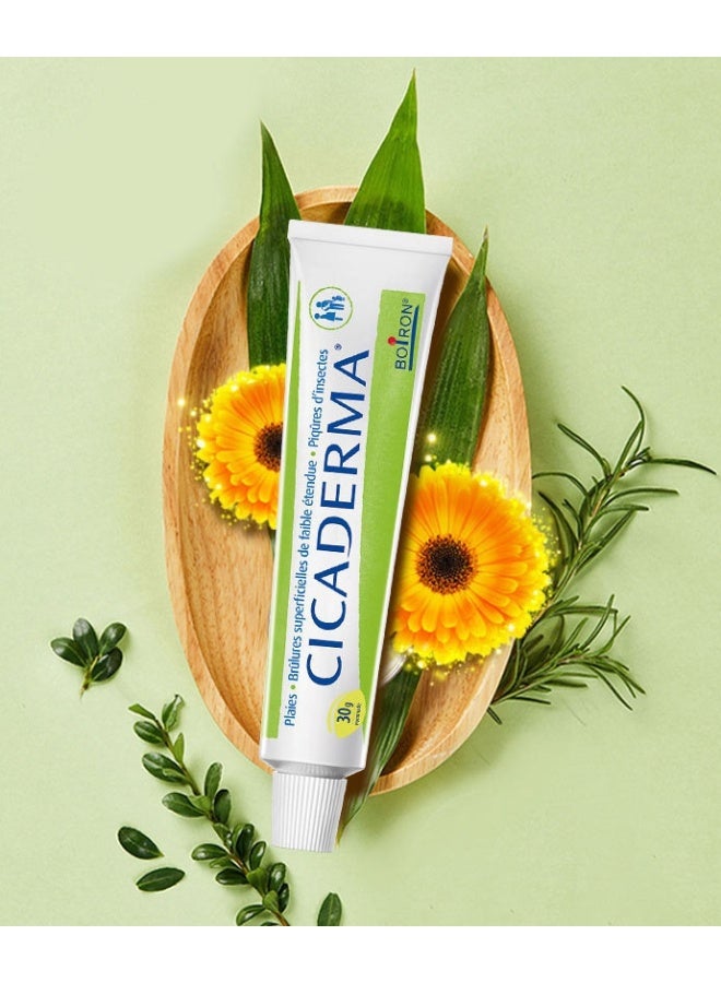 Boiron 2-PACKS Calendula Repair Cream, Moisturizing Multi-Effect Anti-Itch Cream for Children and Babies, Plant Extract, Mild and Non-Irritation 30g*2 - Image 4