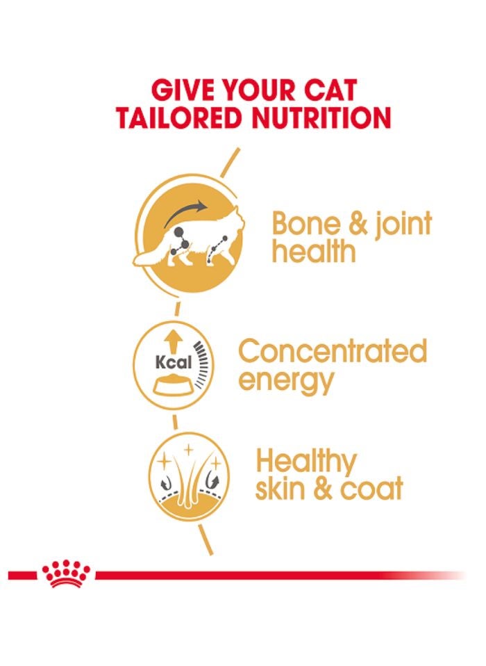 ROYAL CANIN Feline Breed Nutrition Maine Coon (WET FOOD - Pouches) 12 x 85g - Image 5