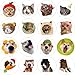 Hohamn 600 Pcs Funny Cat Dog Stickers for Kids 15 Inch 16 Styles Funny Meme Cat Dog Stickers Roll for Kids Boys Girls Birthday Party School Reward Giveaways - Image 2