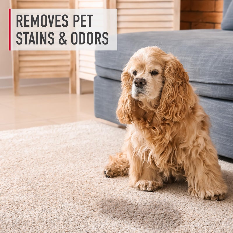 HOOVER Hoover Pure Essentials Pre-Treat Spot and Stain Remover Spray, 22 oz., 2 Pack, Natural Plant Based Formula, Full Strength Carpet Cleaner Spray, Pair with Hoover Carpet or Spot Cleaner  - Image 4