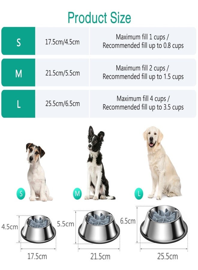 أوريا وعاء طعام وماء للكلاب من الفولاذ المقاوم للصدأ من أوريا، مزود بآلية تغذية بطيئة، وقاعدة مانعة للانزلاق، وآمن للغسل في غسالة الأطباق، مناسب للكلاب الصغيرة والمتوسطة والكبيرة، ويتسع حتى 4 أكواب. - Image 5