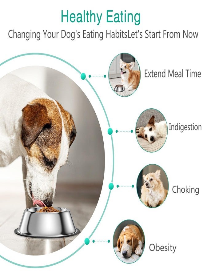 أوريا وعاء طعام وماء للكلاب من الفولاذ المقاوم للصدأ من أوريا، مزود بآلية تغذية بطيئة، وقاعدة مانعة للانزلاق، وآمن للغسل في غسالة الأطباق، مناسب للكلاب الصغيرة والمتوسطة والكبيرة، ويتسع حتى 4 أكواب. - Image 4