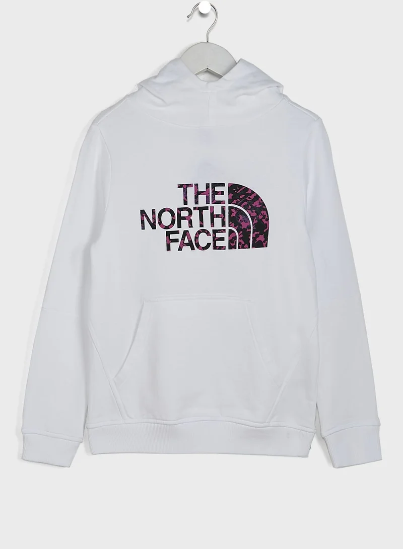 northface Youth 2.0 Drew Peak Hoodie