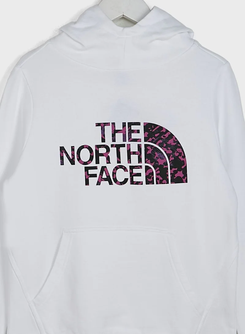 northface Youth 2.0 Drew Peak Hoodie