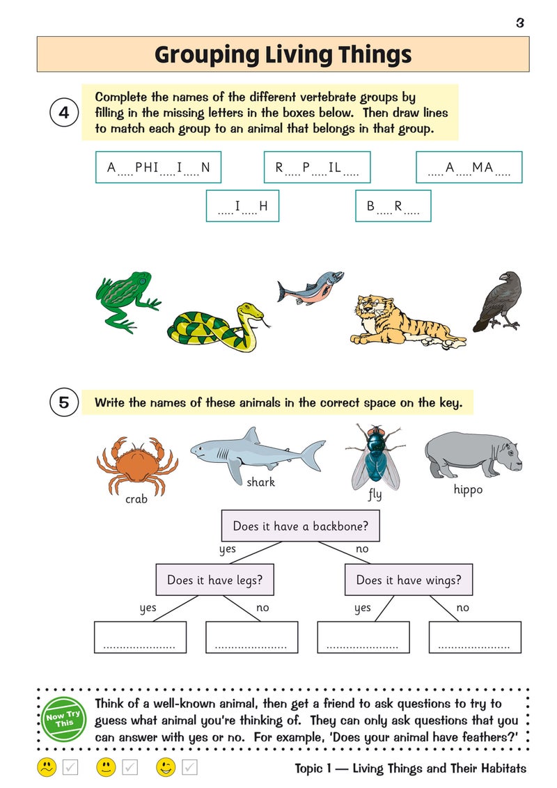 New Ks2 Science Year 4 Targeted Question Book Includes Answers - Image 3